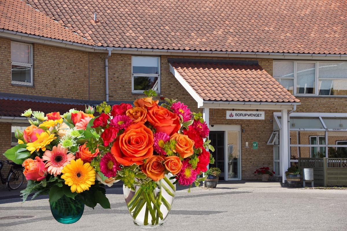 Frivillig Og Beboer Holder Blomstersalg - NewsNetavisRanders