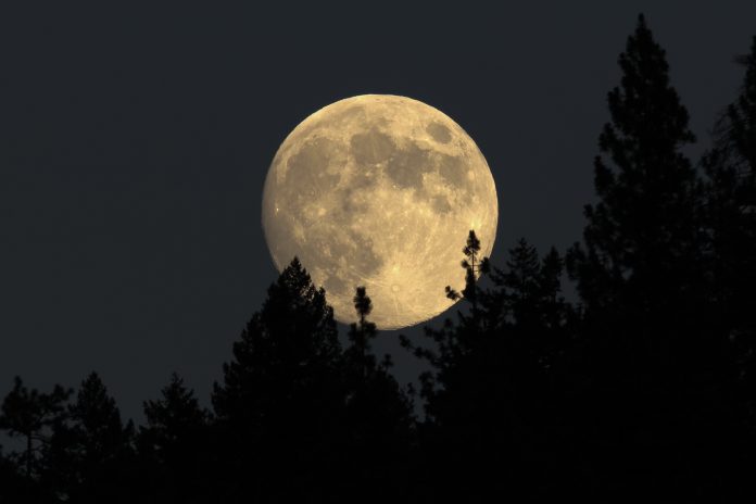 Lær at finde vej mellem stjerner og planeter i efterårsmørket
